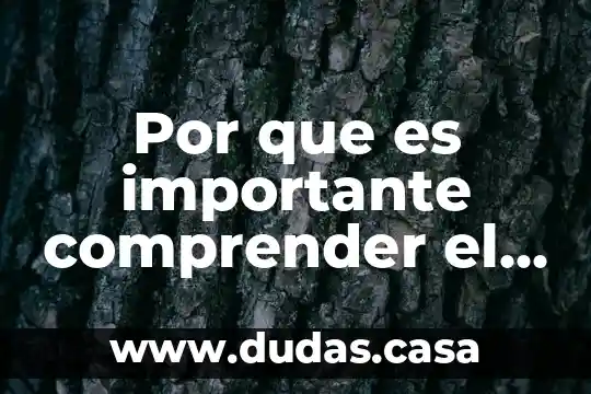 Por que es importante comprender el metabolismo de cada macronutriente