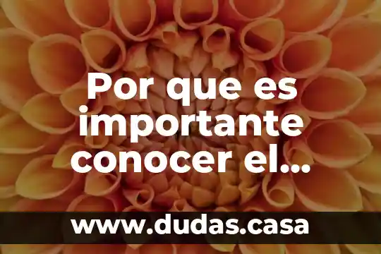 Por que es importante conocer el griego