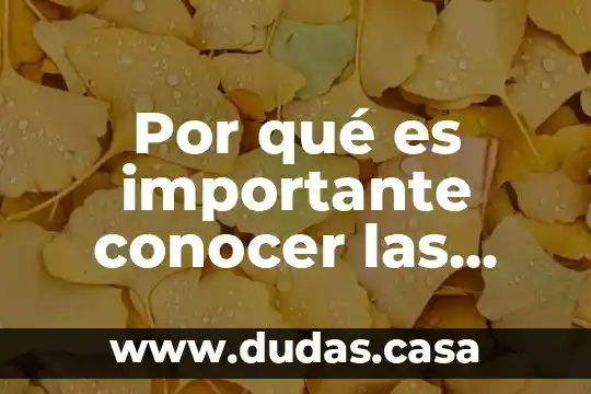 Por qué es importante conocer las etapas de la historia