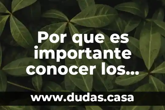Por que es importante conocer los tipos de revestimientos