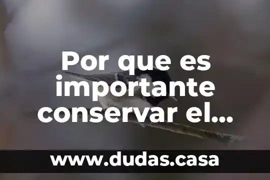Por que es importante conservar el arte