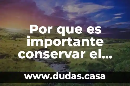 Por que es importante conservar el logotipo de apple