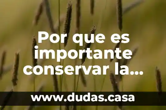 Por que es importante conservar la vida dibersidad