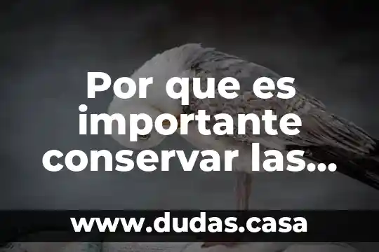 Por que es importante conservar las lenguas indigenas es mexico