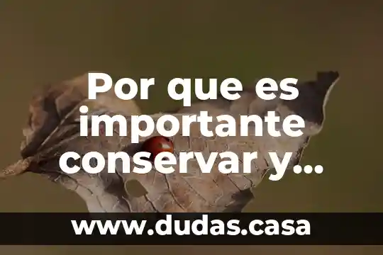 Por que es importante conservar y ampliar las areas verdes