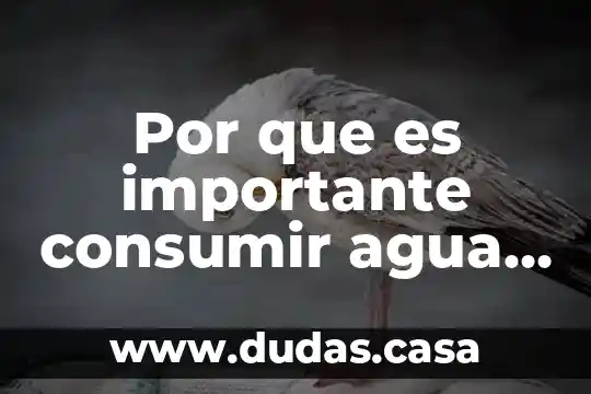 Por que es importante consumir agua simple