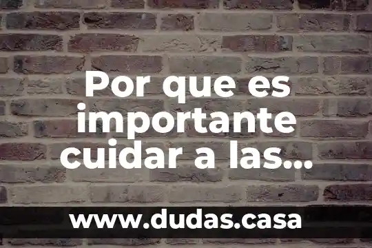Por que es importante cuidar el ph neutro 7 Por que es importante cuidar a las abejas