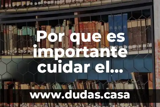 Por que es importante cuidar el efecto invernadero