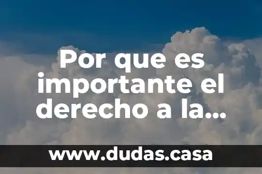 Por que es importante el derecho a la educacion brainly