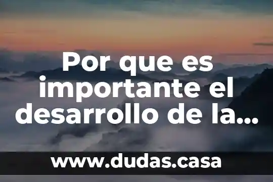 Por que es importante el desarrollo de la tecnologia