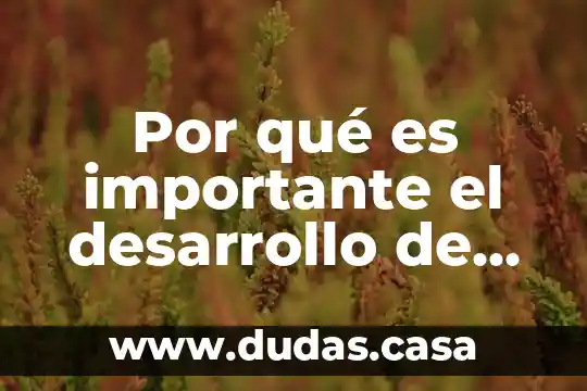 Por qué es importante el desarrollo de Mesoamérica en nuestro país