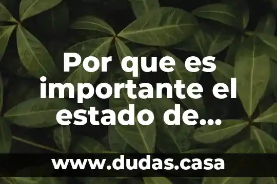 Por que es importante el estado de resultados
