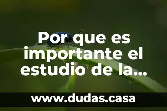 Por que es importante el estudio de la semiotica