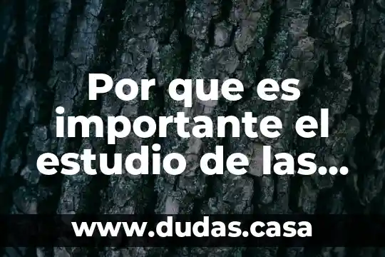 Por que es importante el estudio de las variables economicas