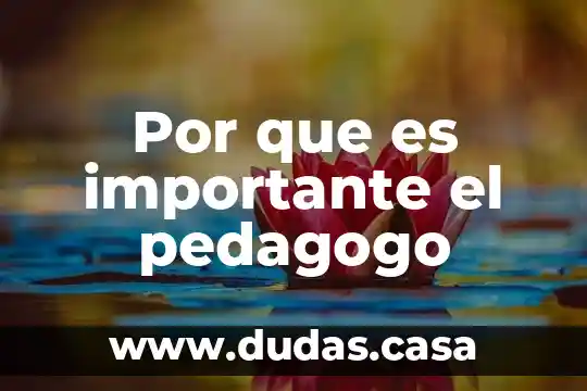 Por que es importante el pedagogo