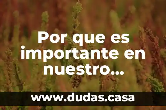 Por que es importante en nuestro entorno el agua