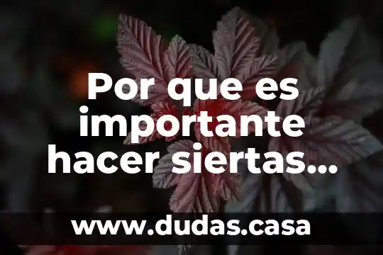 Por que es importante hacer siertas preguntas en una entrevista