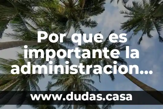 Por que es importante la administracion en el mundo