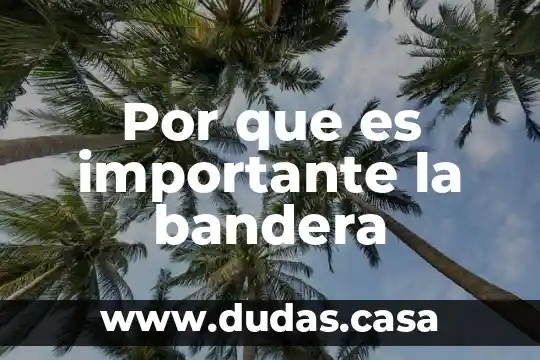 Por que es importante la bandera