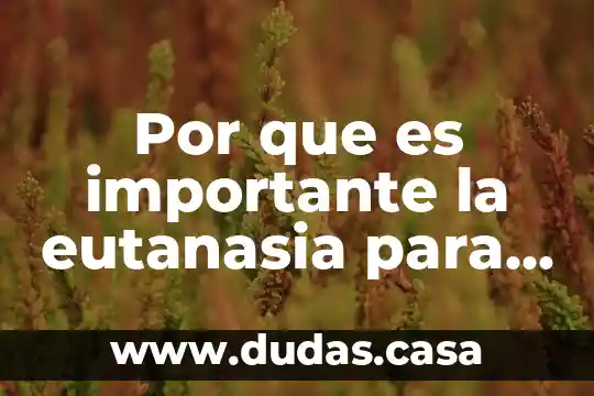 Por que es importante la eutanasia para la sociedad