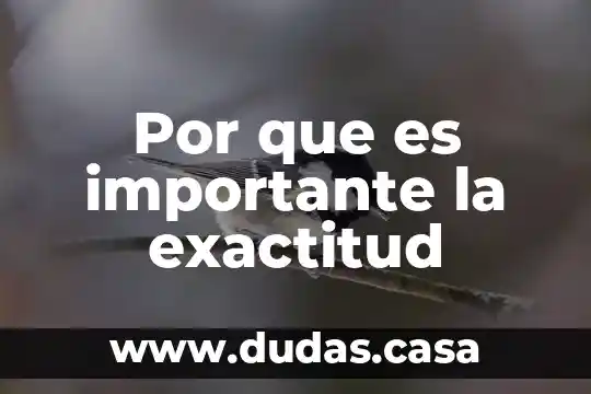 Por que es importante la exactitud