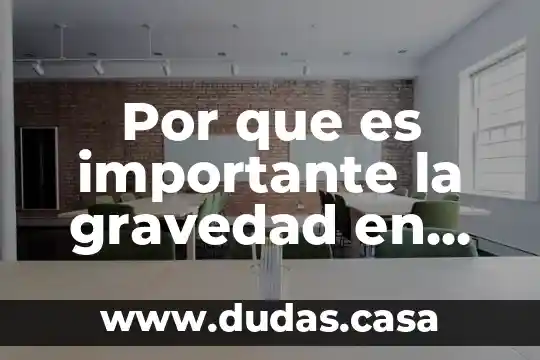 Por que es importante la gravedad en nuestro entorno