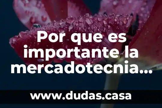 Por que es importante la mercadotecnia para las pymes