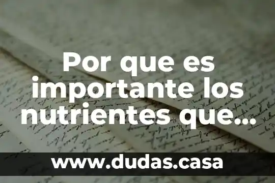Por que es importante los nutrientes que descomponen los alimentos