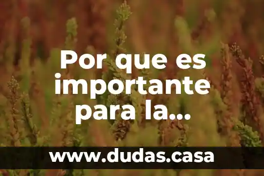 Por que es importante para la sociedad saber sobre venezuela