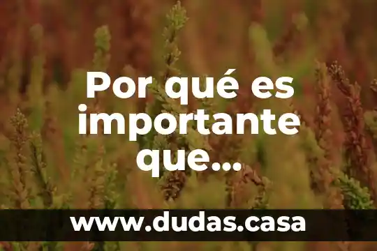 Por qué es importante que reflexionemos sobre la contaminación