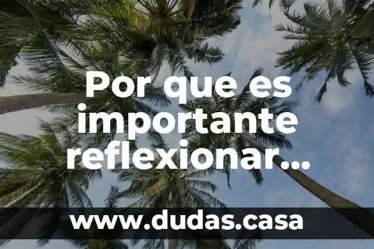 Por que es importante reflexionar ante la globalizacion como estudiante