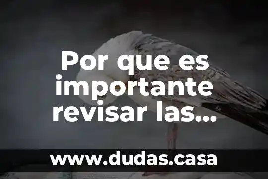 Por que es importante revisar las etiquetas de lo alimentos