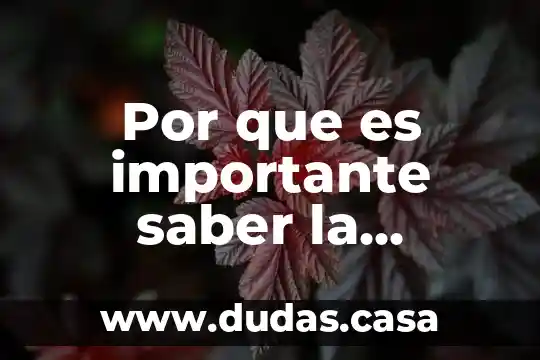 Por que es importante saber la cosmovicion