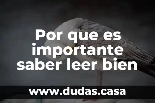 Por que es importante saber leer bien