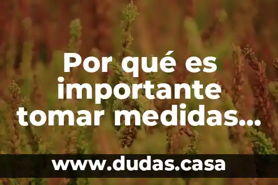 Por qué es importante tomar medidas de seguridad de internet