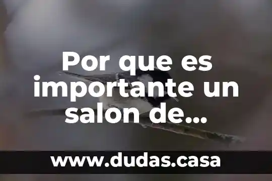 Por que es importante un salon de belleza