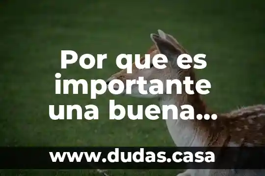 Por que es importante una buena medicion
