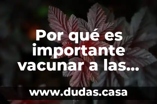 Por qué es importante vacunar a las personas y animales