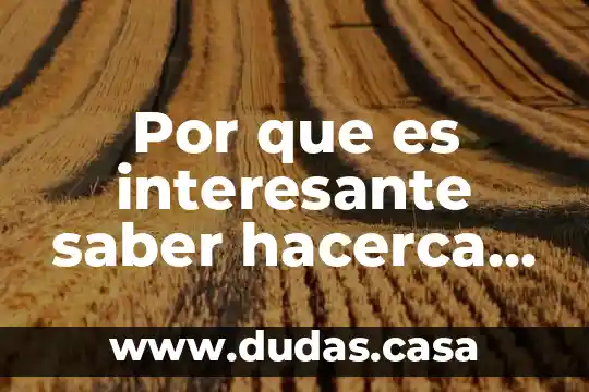 Por que es interesante saber hacerca la evasion de impuestos