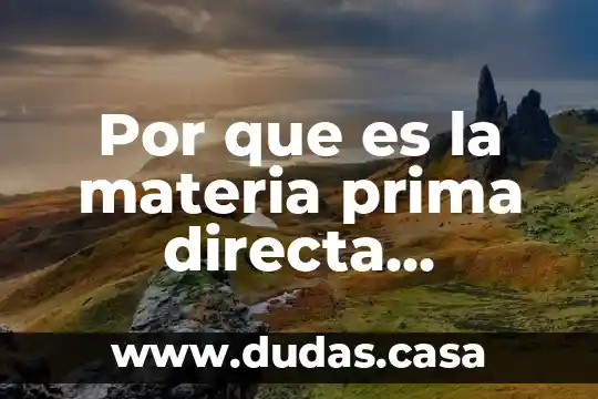 Por que es la materia prima directa importante