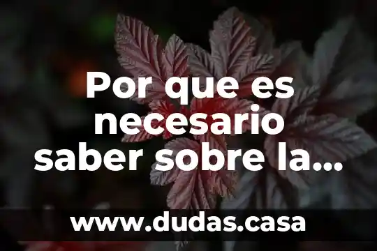 Por que es necesario saber sobre la seguridad de internet