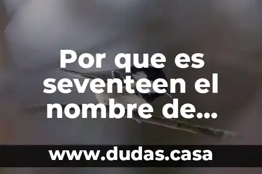 Por que es seventeen el nombre de grupo