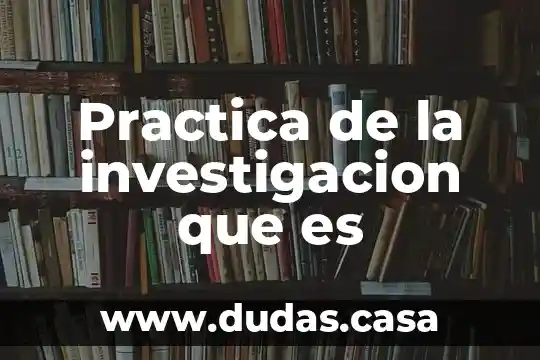 Practica de la investigacion que es