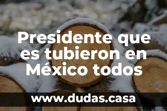 Presidente que es tubieron en México todos