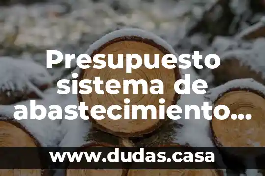 Presupuesto sistema de abastecimiento de agua potable que es