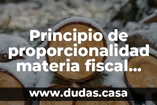 Principio de proporcionalidad materia fiscal que es