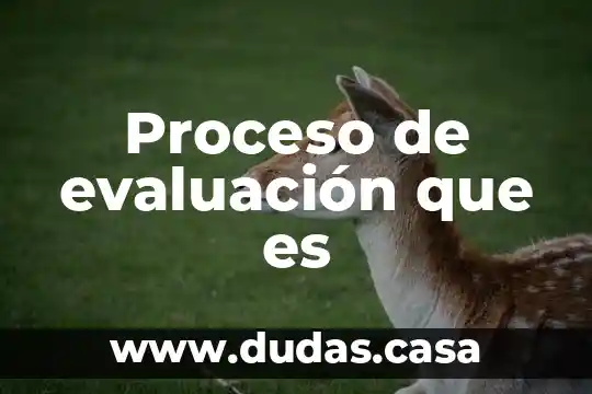 Proceso de evaluación que es