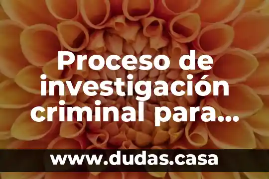 Proceso de investigación criminal para que es