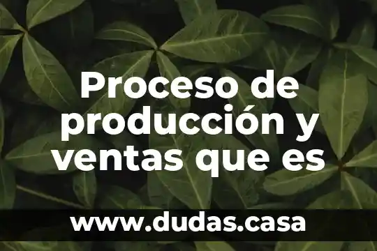 Proceso de producción y ventas que es