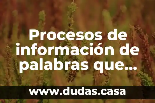 Procesos de información de palabras que es
